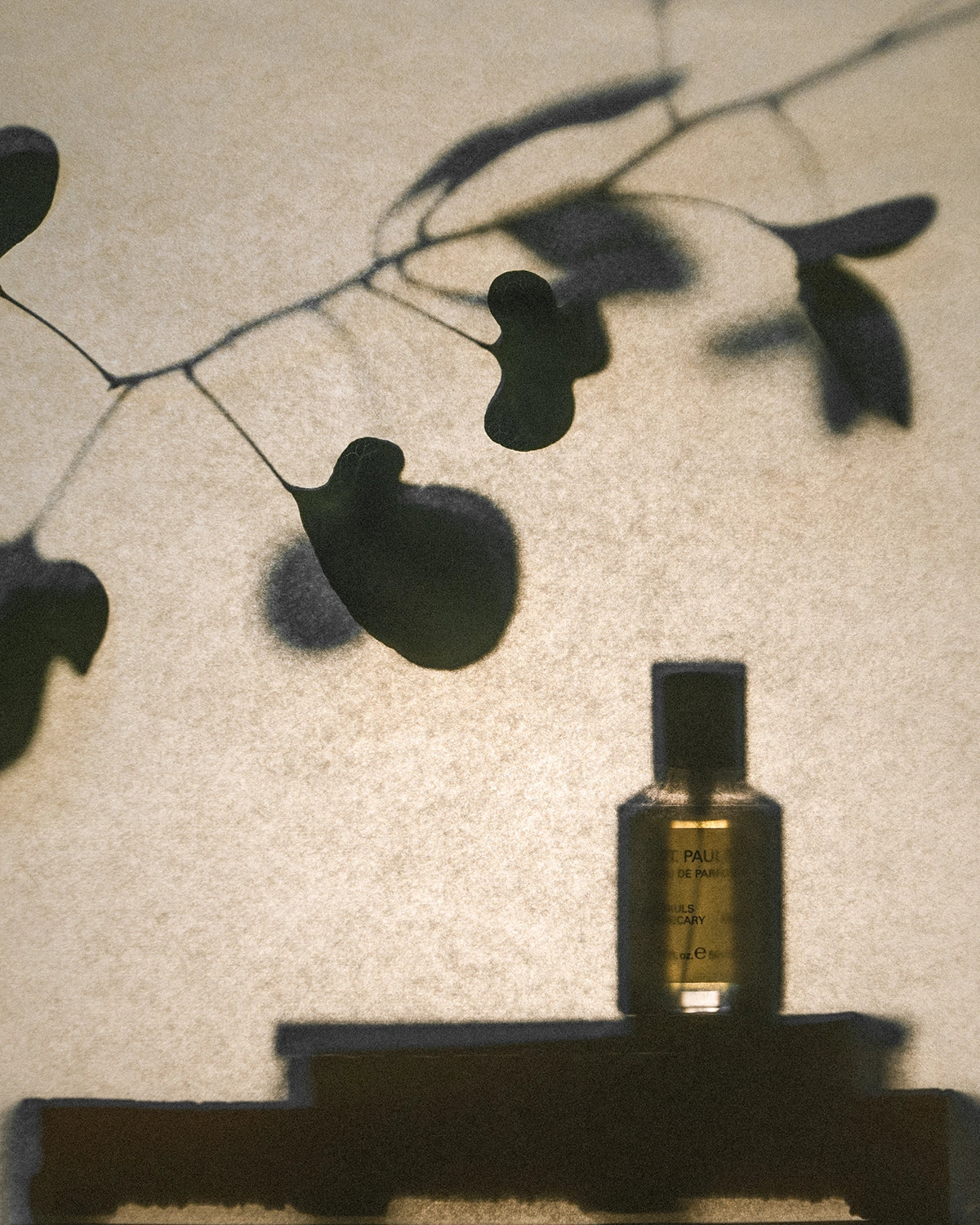 Frama Parfume St. Pauls | 50 ml.